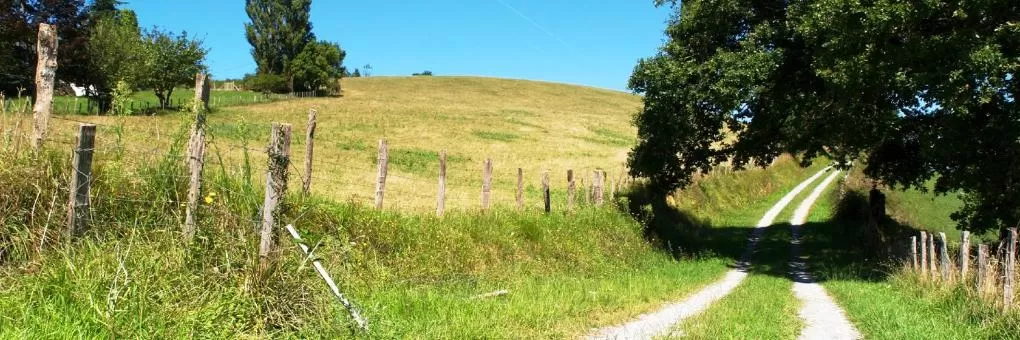 Saint-Flour, Auvergne Hotels