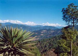 Uttarakhand, India Hotels