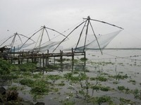 Kochi Walking & Biking Tours