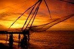 Kochi Private Tours