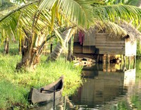 Kochi Sightseeing Tours