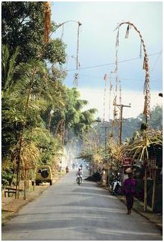 Images of Ubud, Indonesia