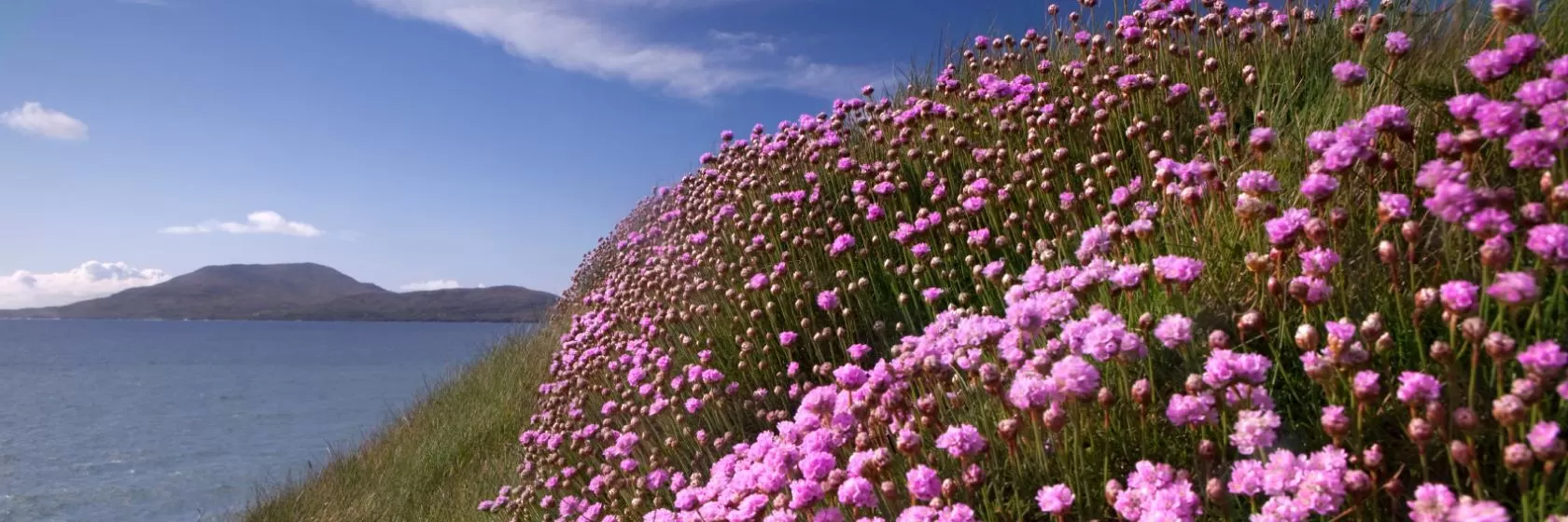 Castlegregory, County Kerry, Ireland