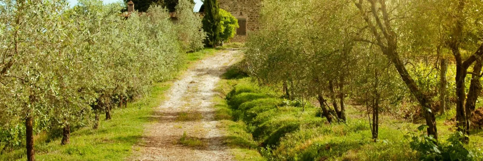 Greve in Chianti, Italy