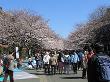 Ueno Park, Tokyo