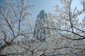 ANA Crowne Plaza Kobe, Kobe Hotels, Japan