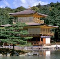 Kyoto Sightseeing Tours