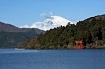Multi-Day & Extended Tours from Tokyo