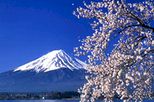 Tokyo Day Trips & Excursions