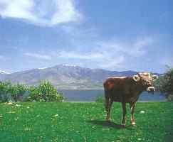 Prespa Lakes, Macedonia, Greece