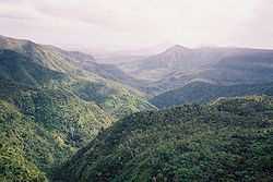 Black River Gorges National Park