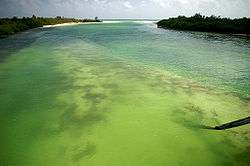 Sian Ka'an, Yucatan Peninsula