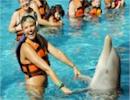Riviera Maya Dolphin Royal Swim