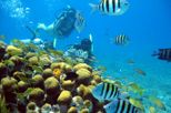 Cozumel Tours & Activities, Travel to Mexico