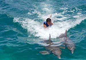 THINGS TO DO IN COZUMEL