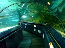 Kelly Tarlton's Underwater World, Auckland, New Zealand