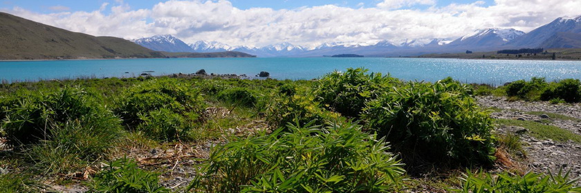 Lake Tekapo, New Zealand Hotels