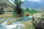 Oman Private & Custom Tours