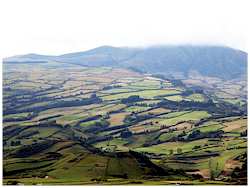 Pasture fields in The Azores, Portugal