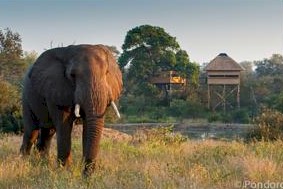 Limpopo Hotels & Accommodation