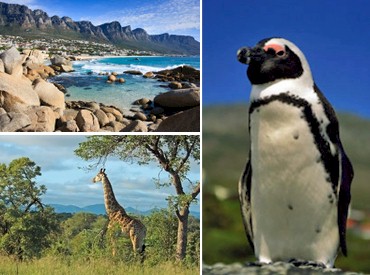 South Africa Tours, Travel & Activities