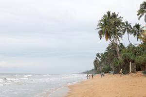 Wadduwa Hotels, Sri Lanka