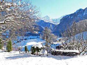 Wilderswil Hotels, Accommodation in Switzerland