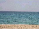 Naxos Beaches