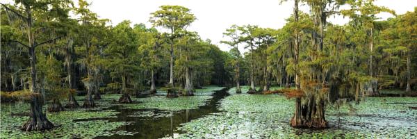 Louisiana, USA Hotels