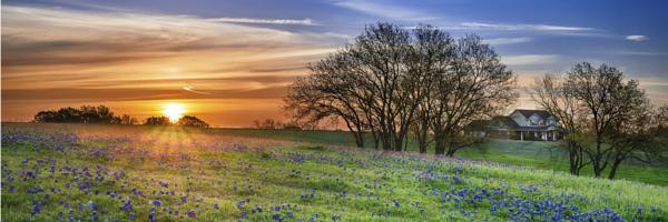 Texas, USA Hotels