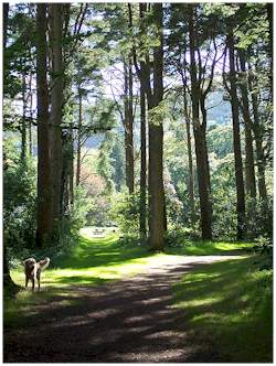 Powys, Wales