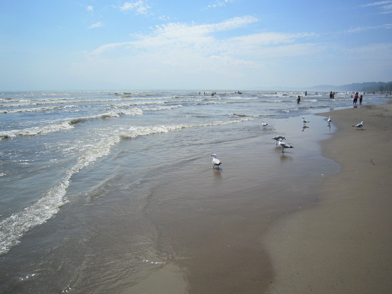 Blue flag beaches of Port Stanley